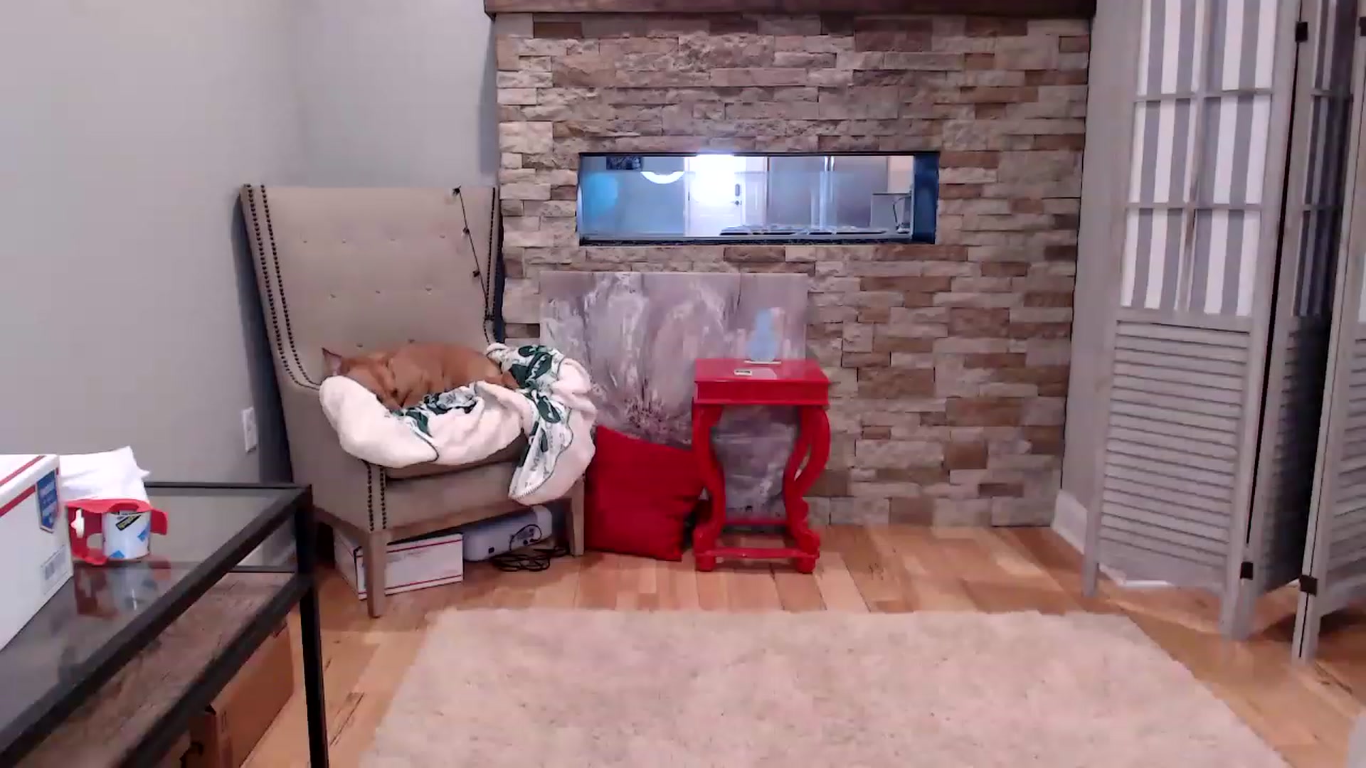 Gallery image thumbnail from AmyDay's myfreecams stream on, 03/24/2023, 18:08 image 3 of 20
