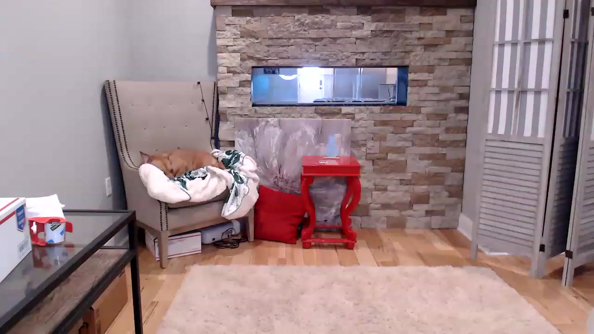 Gallery image thumbnail from AmyDay's myfreecams stream on, 03/24/2023, 18:08 image 6 of 20
