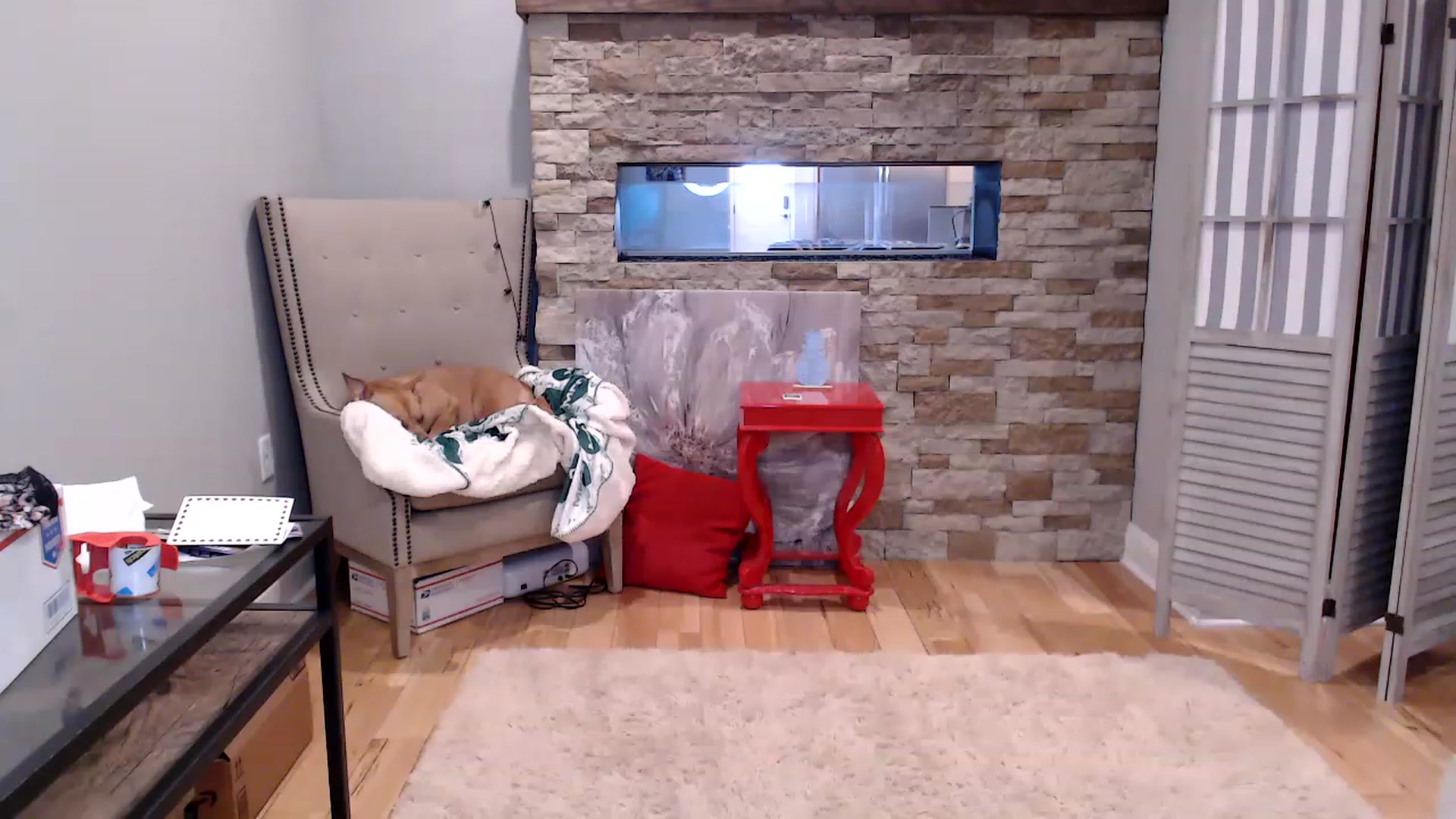 Gallery image thumbnail from AmyDay's myfreecams stream on, 03/24/2023, 18:08 image 9 of 20