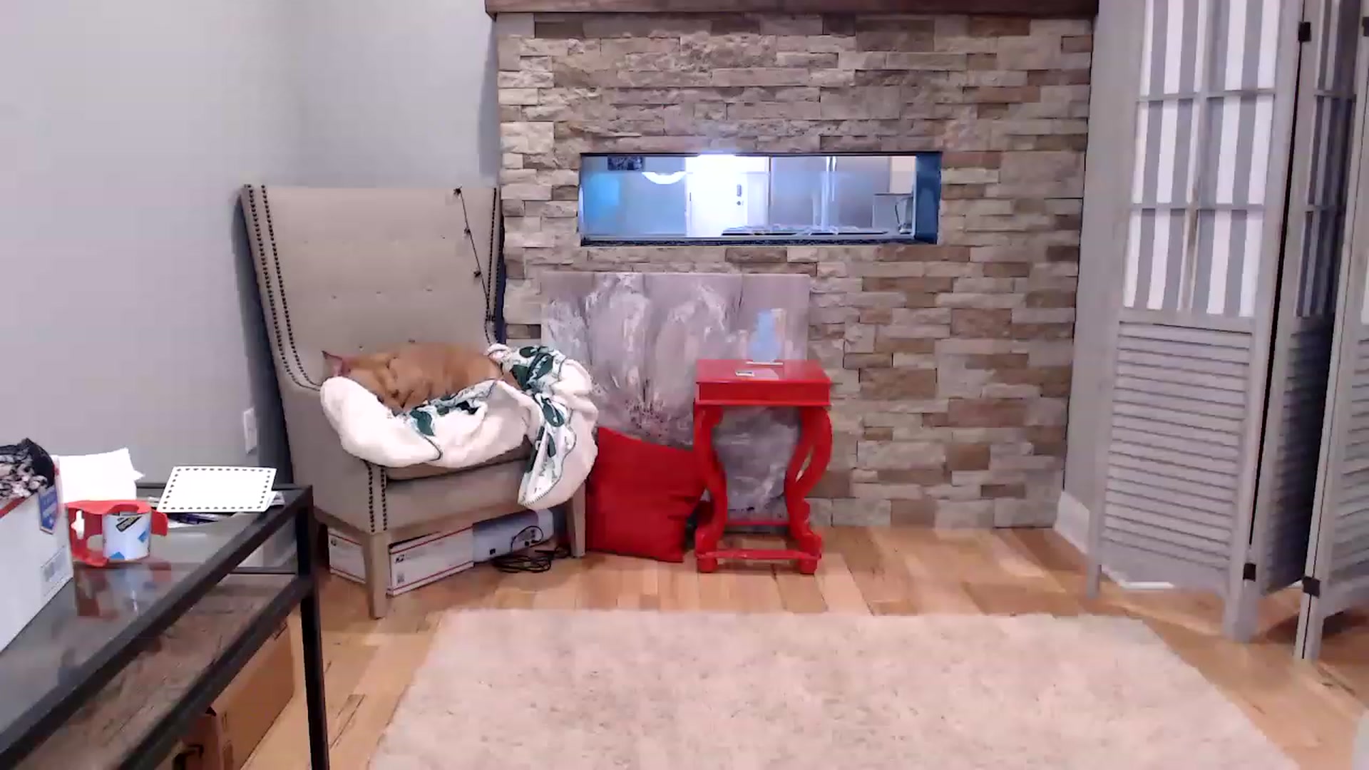 Gallery image thumbnail from AmyDay's myfreecams stream on, 03/24/2023, 18:08 image 10 of 20