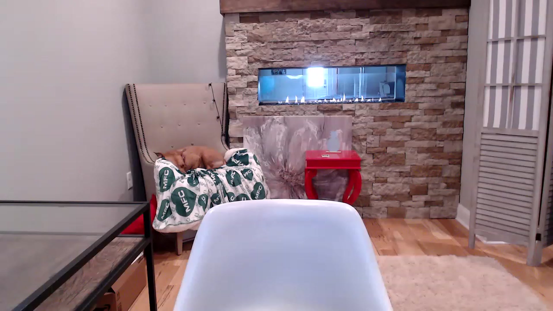 Gallery image thumbnail from AmyDay's myfreecams stream on, 03/28/2023, 17:42 image 1 of 20
