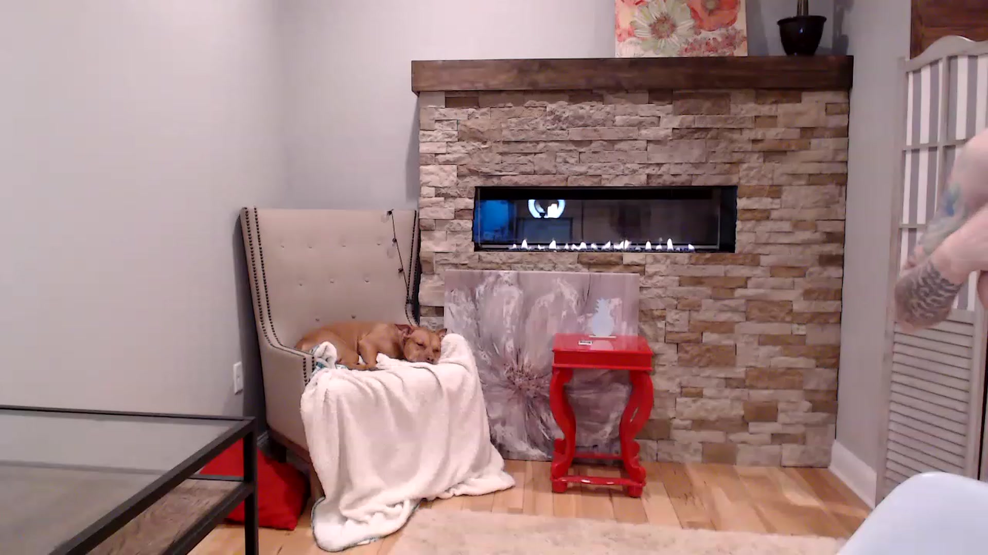 Gallery image thumbnail from AmyDay's myfreecams stream on, 04/12/2023, 06:02 image 20 of 20