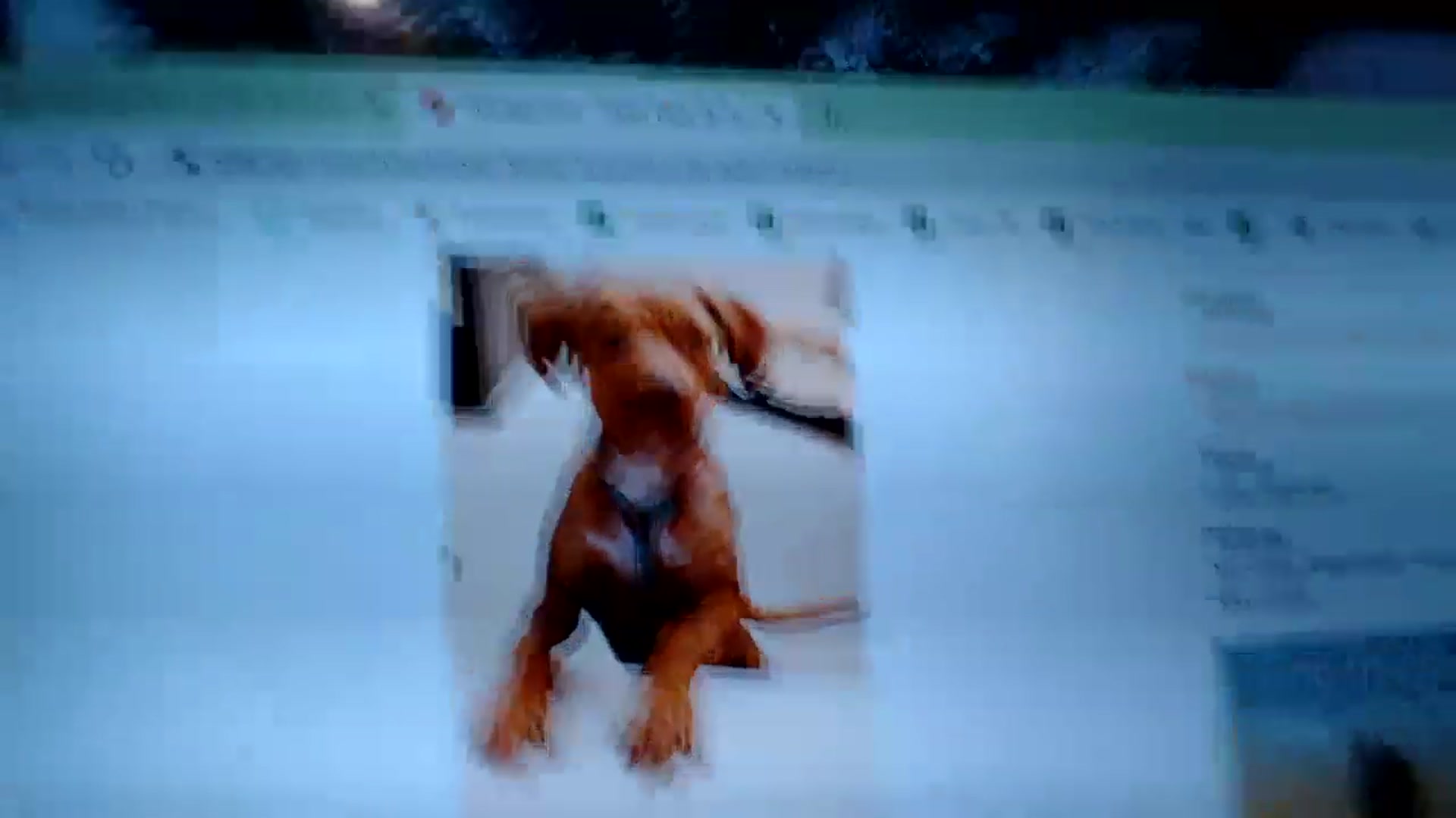 Gallery image thumbnail from AmyDay's myfreecams stream on, 04/12/2023, 06:02 image 2 of 20