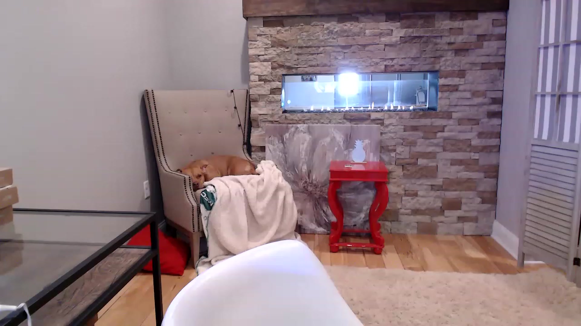 Gallery image thumbnail from AmyDay's myfreecams stream on, 04/13/2023, 17:41 image 1 of 20