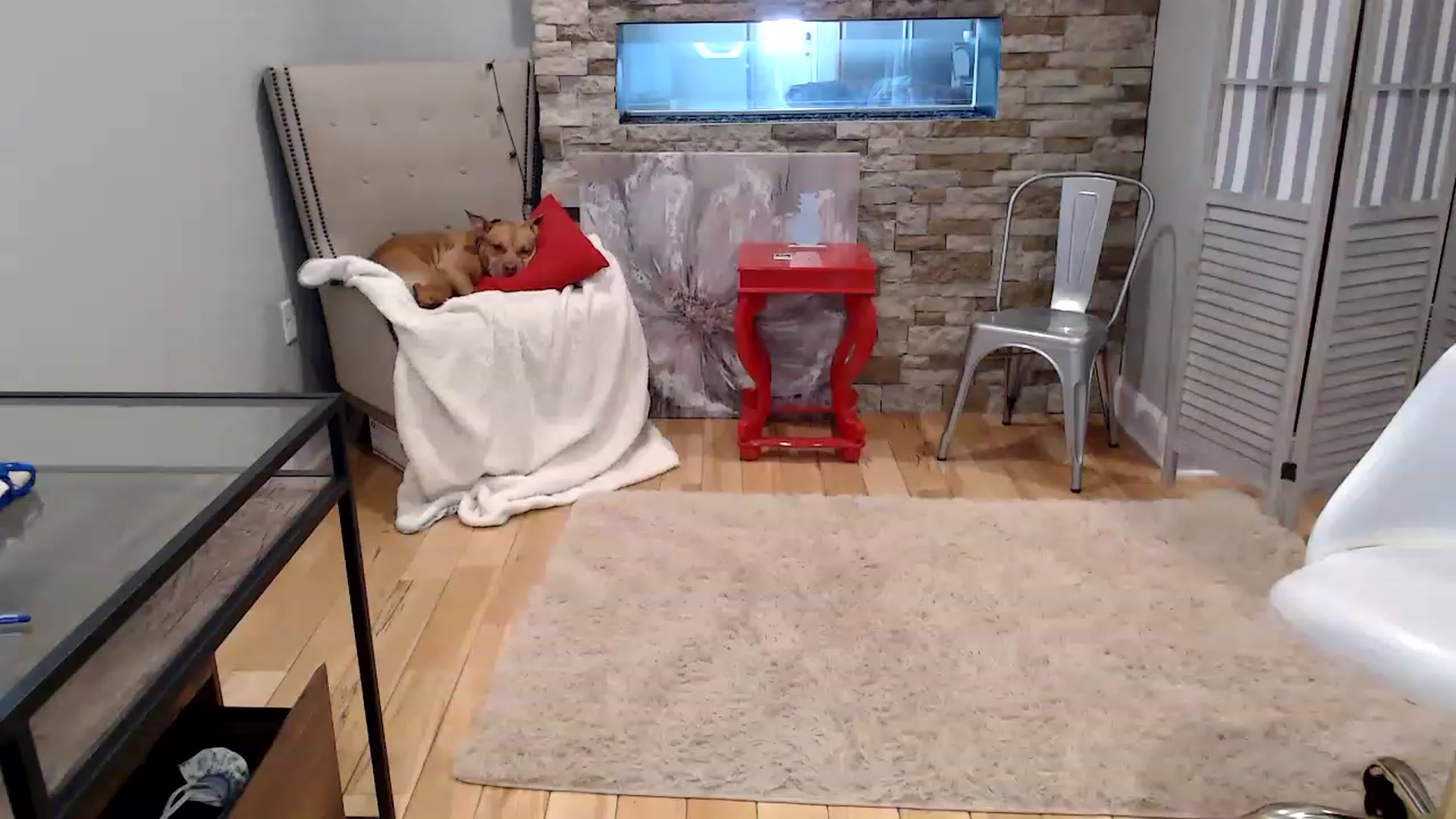 Gallery image thumbnail from AmyDay's myfreecams stream on, 04/14/2023, 17:54 image 2 of 20