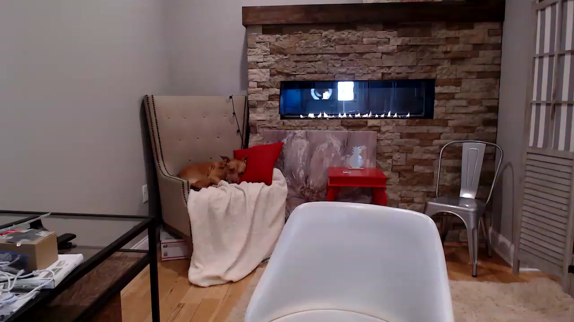 Gallery image thumbnail from AmyDay's myfreecams stream on, 04/18/2023, 18:23 image 4 of 20