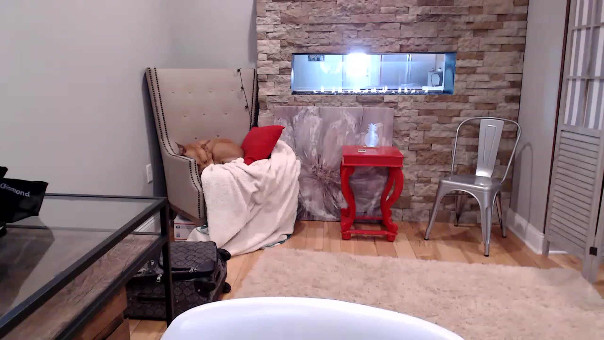 Gallery image thumbnail from AmyDay's myfreecams stream on, 04/19/2023, 18:05 image 4 of 20