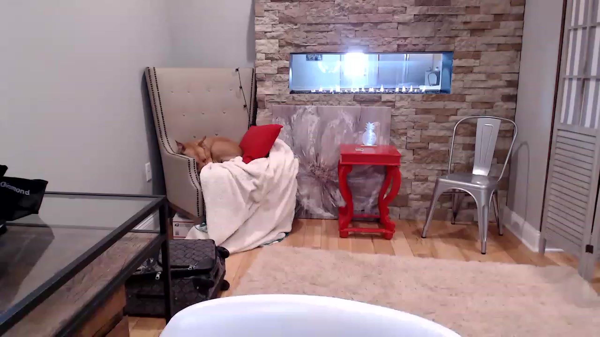 Gallery image thumbnail from AmyDay's myfreecams stream on, 04/19/2023, 18:05 image 2 of 20