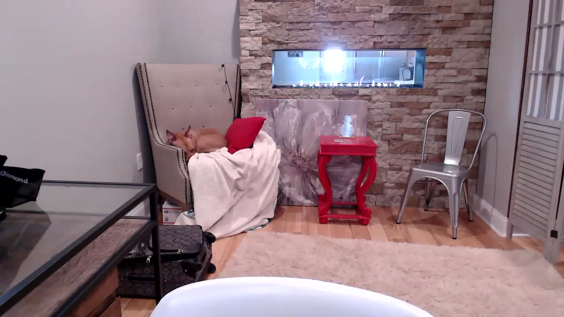 Gallery image thumbnail from AmyDay's myfreecams stream on, 04/19/2023, 18:05 image 1 of 20