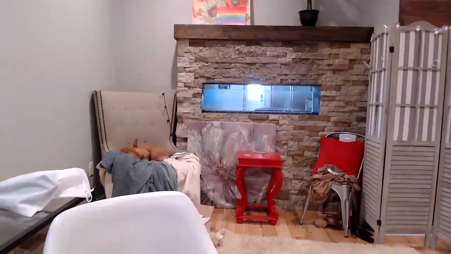 Gallery image thumbnail from AmyDay's myfreecams stream on, 04/26/2023, 18:04 image 13 of 20