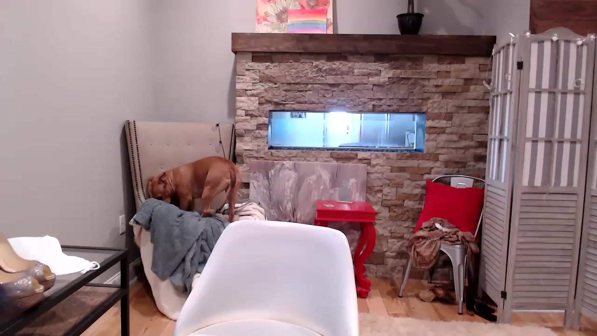 Gallery image thumbnail from AmyDay's myfreecams stream on, 04/26/2023, 18:04 image 1 of 20