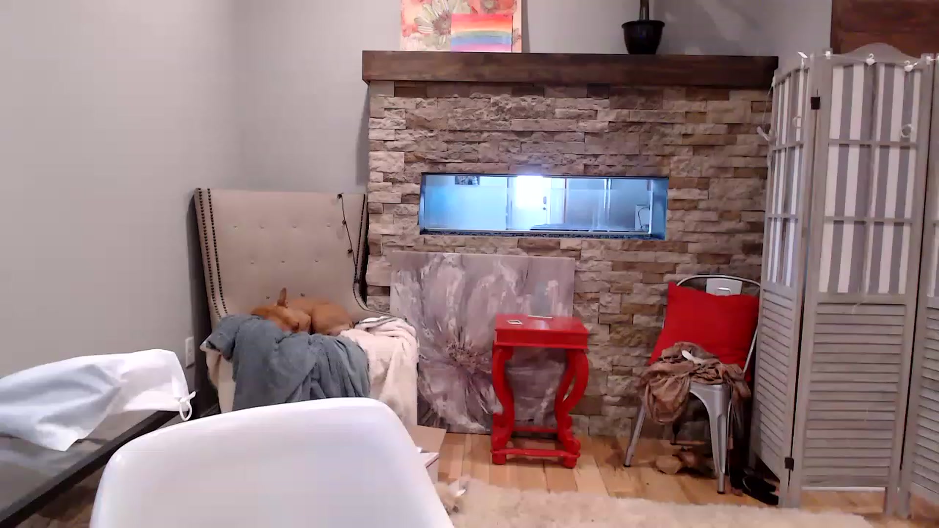 Gallery image thumbnail from AmyDay's myfreecams stream on, 04/26/2023, 18:04 image 12 of 20