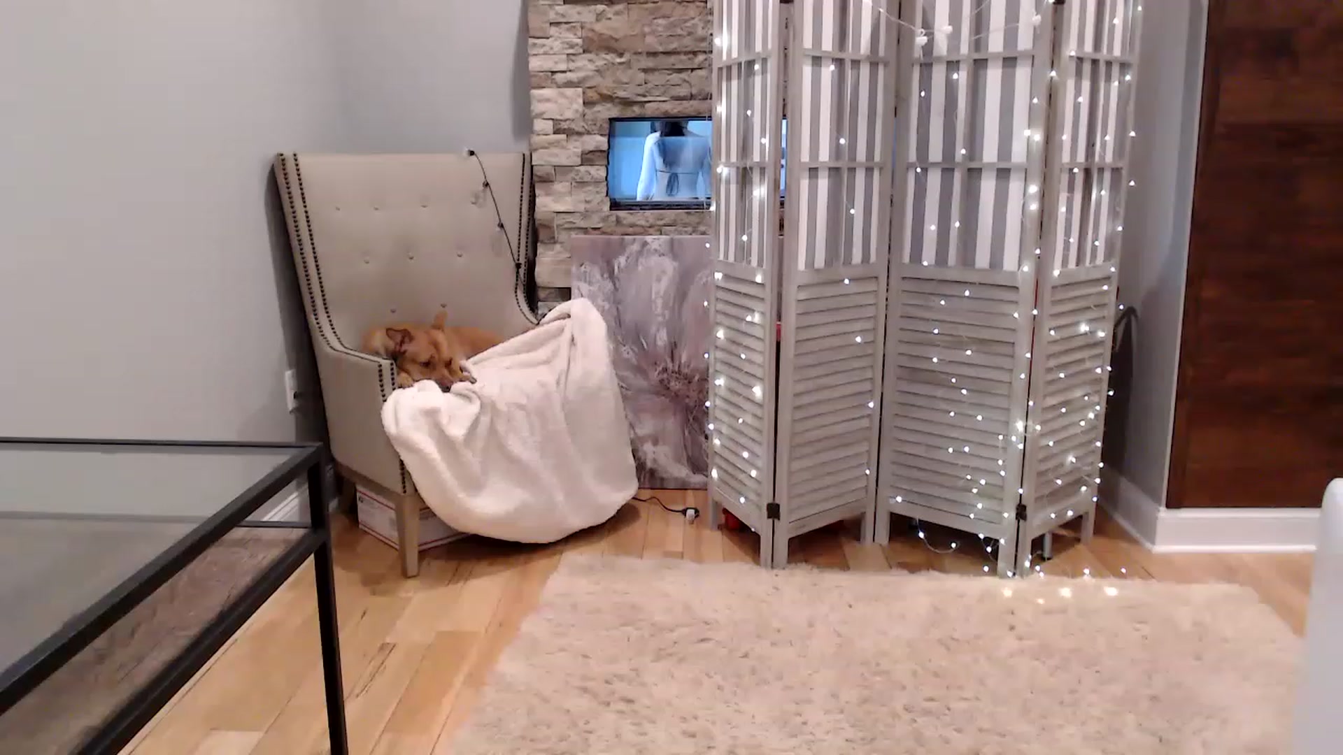 Gallery image thumbnail from AmyDay's myfreecams stream on, 05/04/2023, 17:28 image 5 of 20