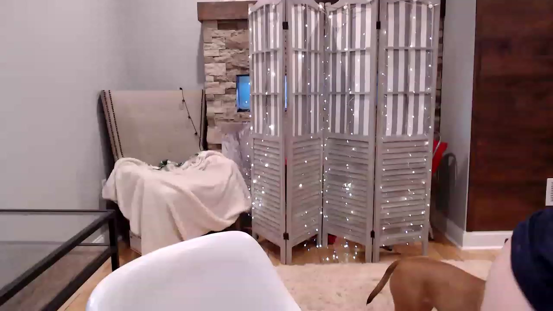 Gallery image thumbnail from AmyDay's myfreecams stream on, 05/12/2023, 18:09 image 3 of 20