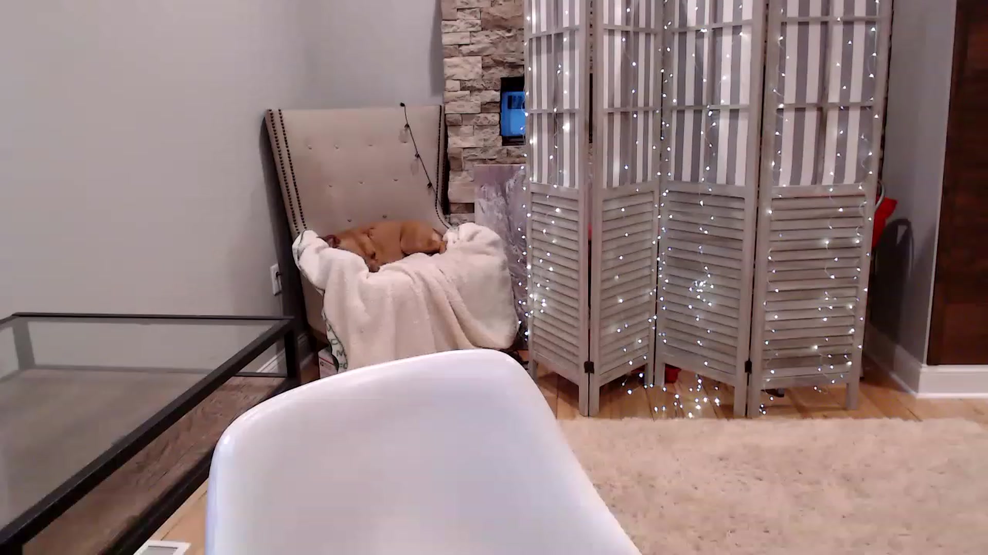 Gallery image thumbnail from AmyDay's myfreecams stream on, 05/15/2023, 06:10 image 11 of 20