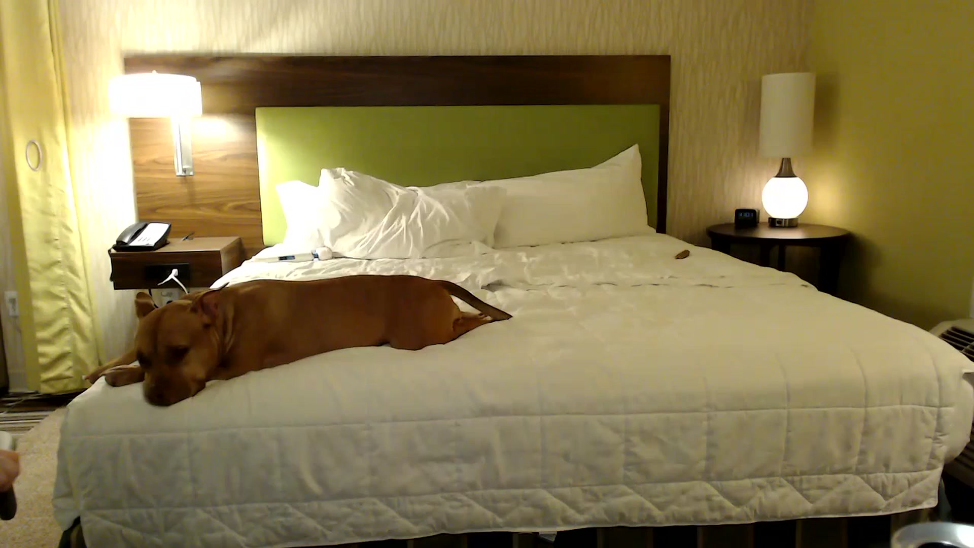 Gallery image thumbnail from AmyDay's myfreecams stream on, 07/01/2023, 03:11 image 3 of 20