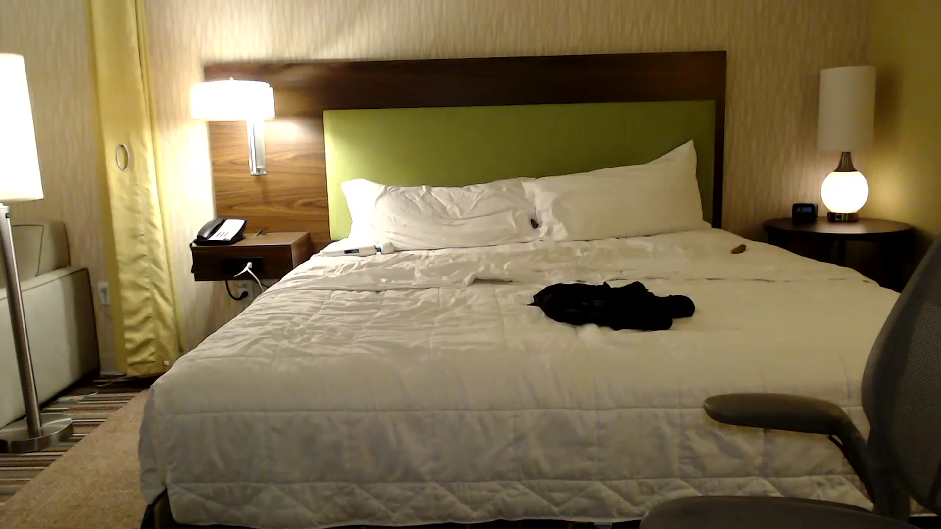Gallery image thumbnail from AmyDay's myfreecams stream on, 07/01/2023, 05:12 image 4 of 20