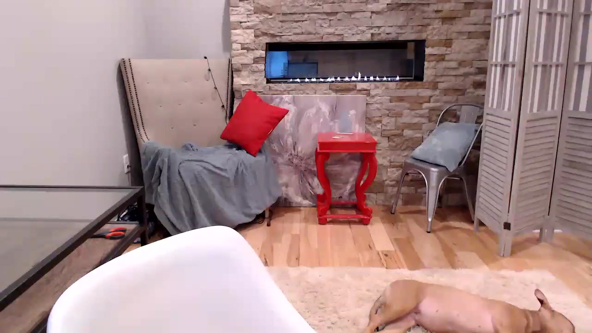 Gallery image thumbnail from AmyDay's myfreecams stream on, 08/01/2023, 06:21 image 15 of 20