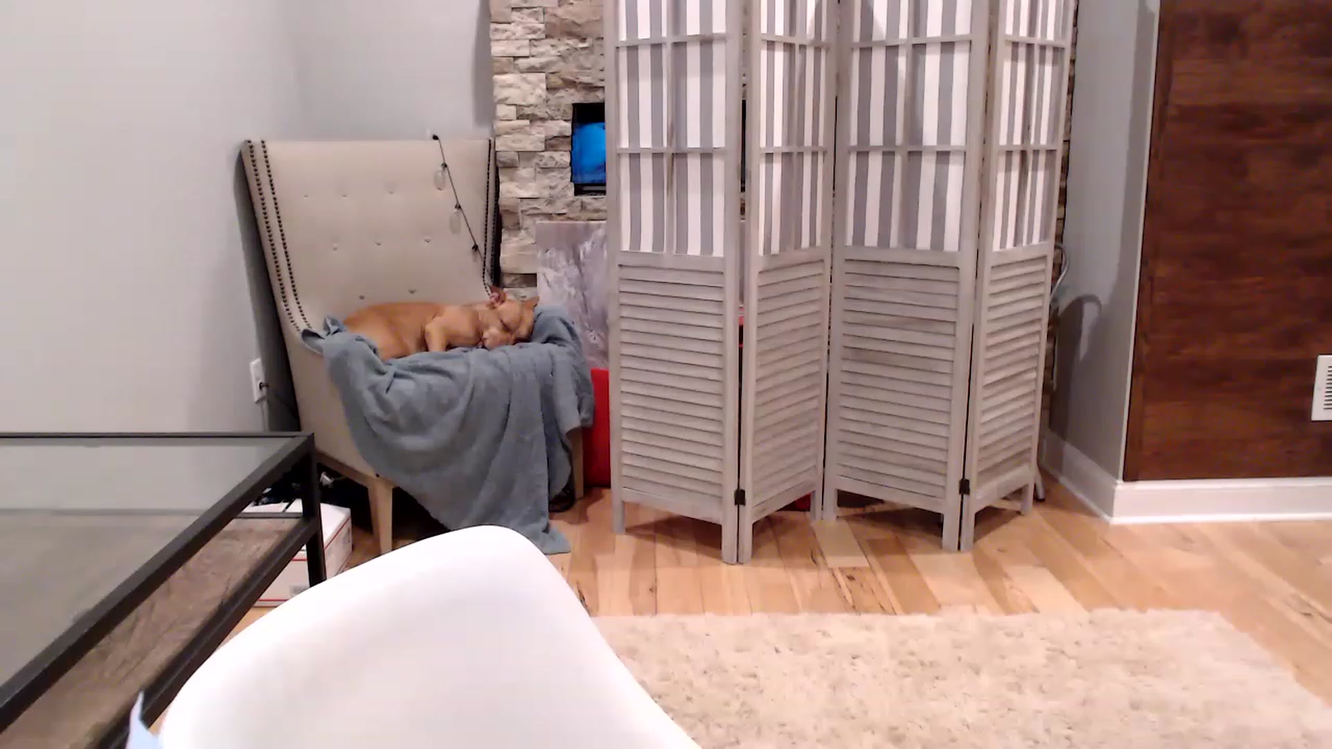 Gallery image thumbnail from AmyDay's myfreecams stream on, 08/08/2023, 04:36 image 19 of 20