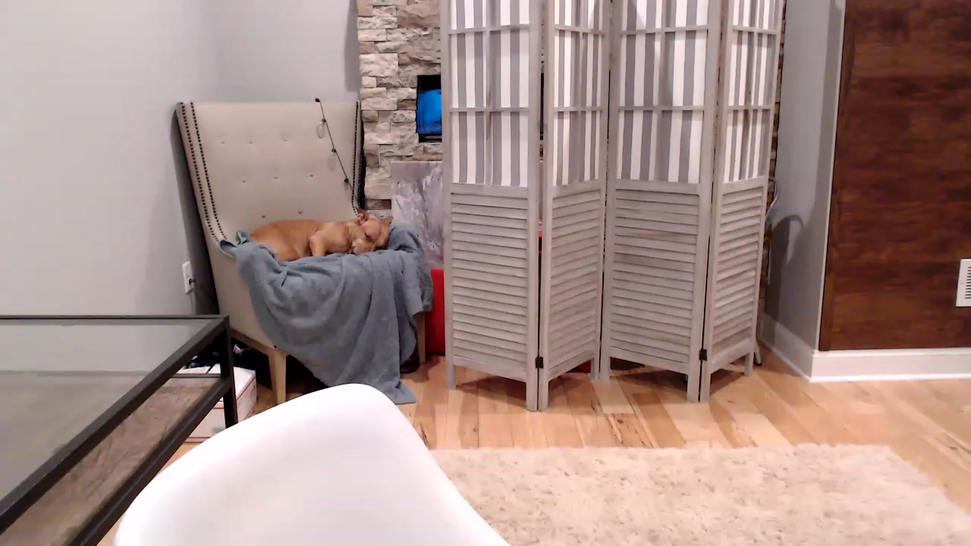 Gallery image thumbnail from AmyDay's myfreecams stream on, 08/08/2023, 04:36 image 18 of 20
