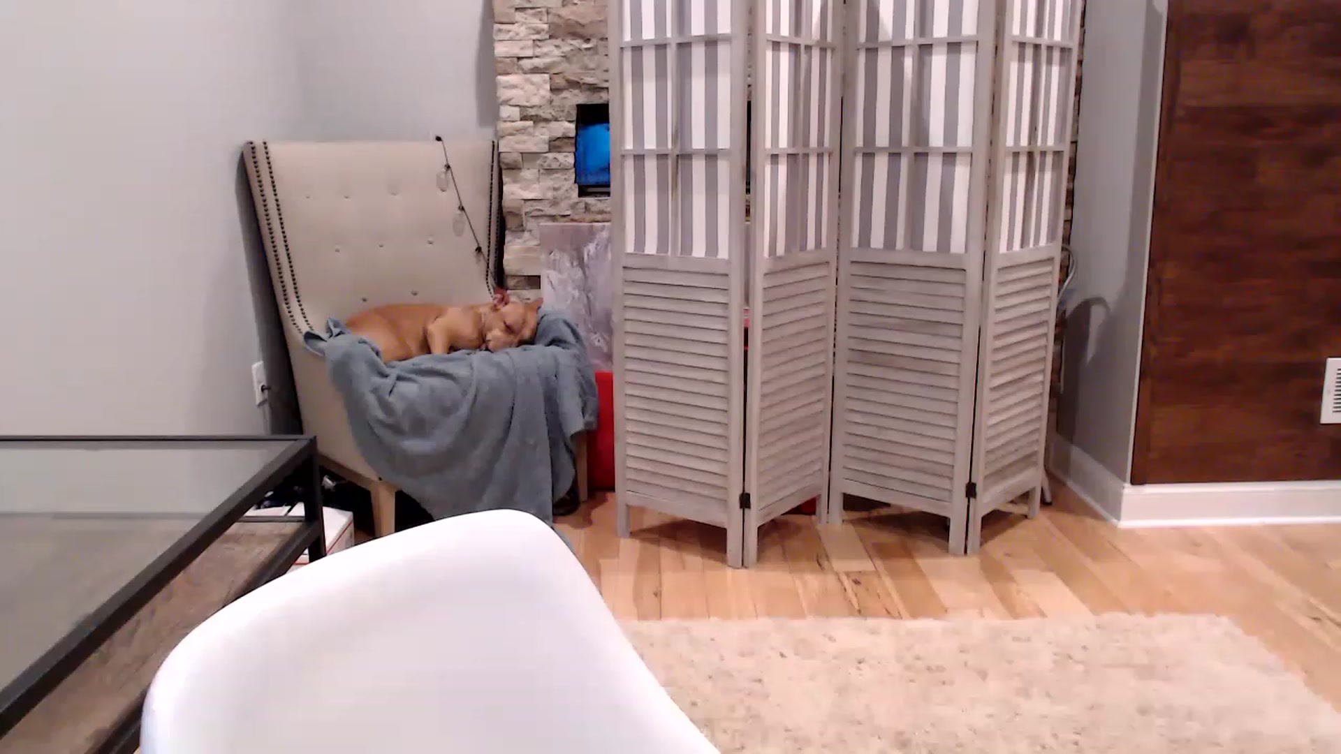 Gallery image thumbnail from AmyDay's myfreecams stream on, 08/08/2023, 04:36 image 4 of 20