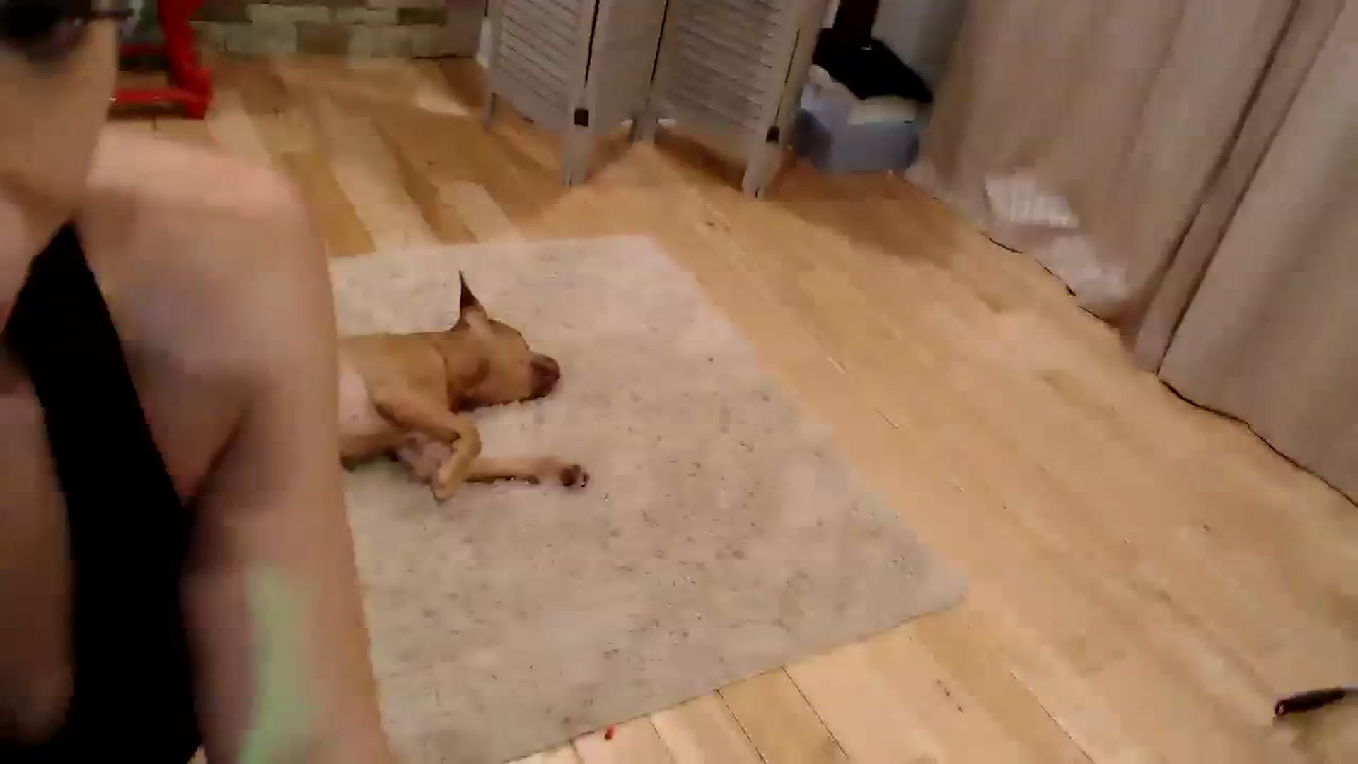 Gallery image thumbnail from AmyDay's myfreecams stream on, 08/12/2023, 07:39 image 4 of 20