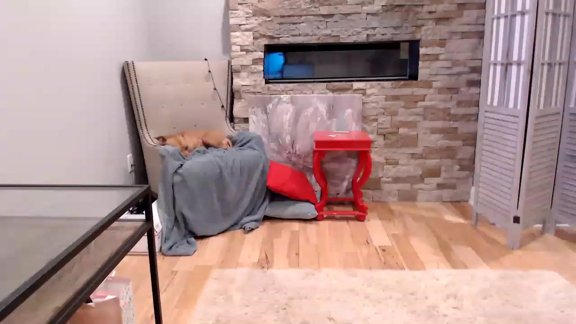 Gallery image thumbnail from AmyDay's myfreecams stream on, 08/13/2023, 06:29 image 1 of 20
