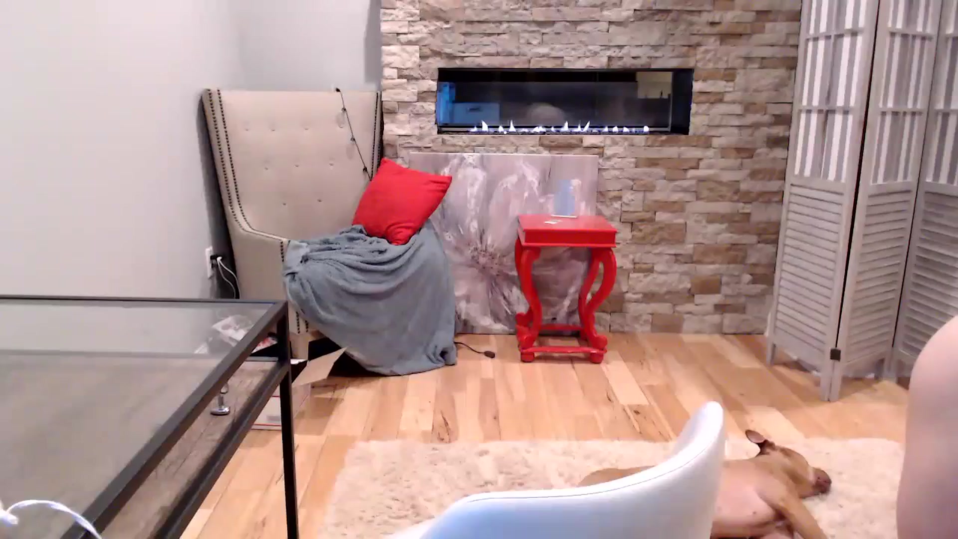 Gallery image thumbnail from AmyDay's myfreecams stream on, 08/23/2023, 04:18 image 10 of 20