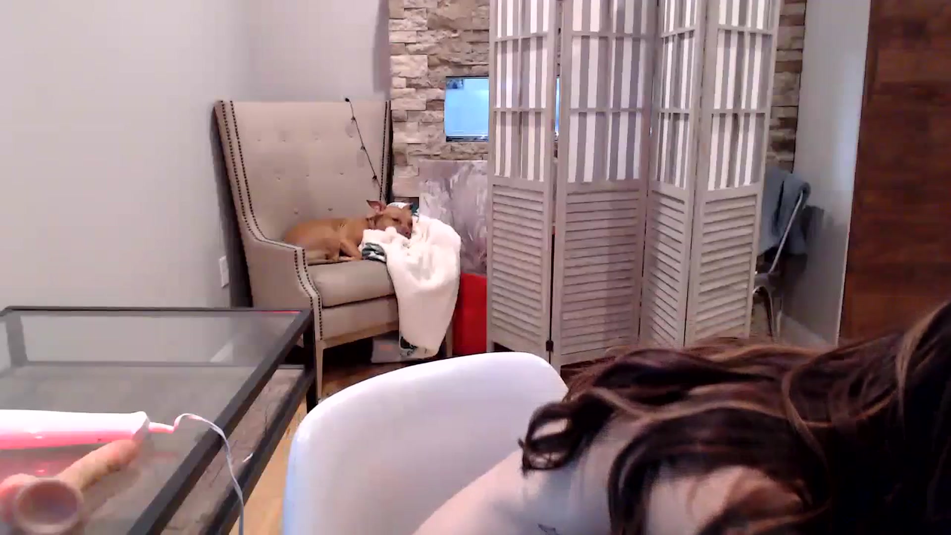 Gallery image thumbnail from AmyDay's myfreecams stream on, 09/08/2023, 17:27 image 16 of 20
