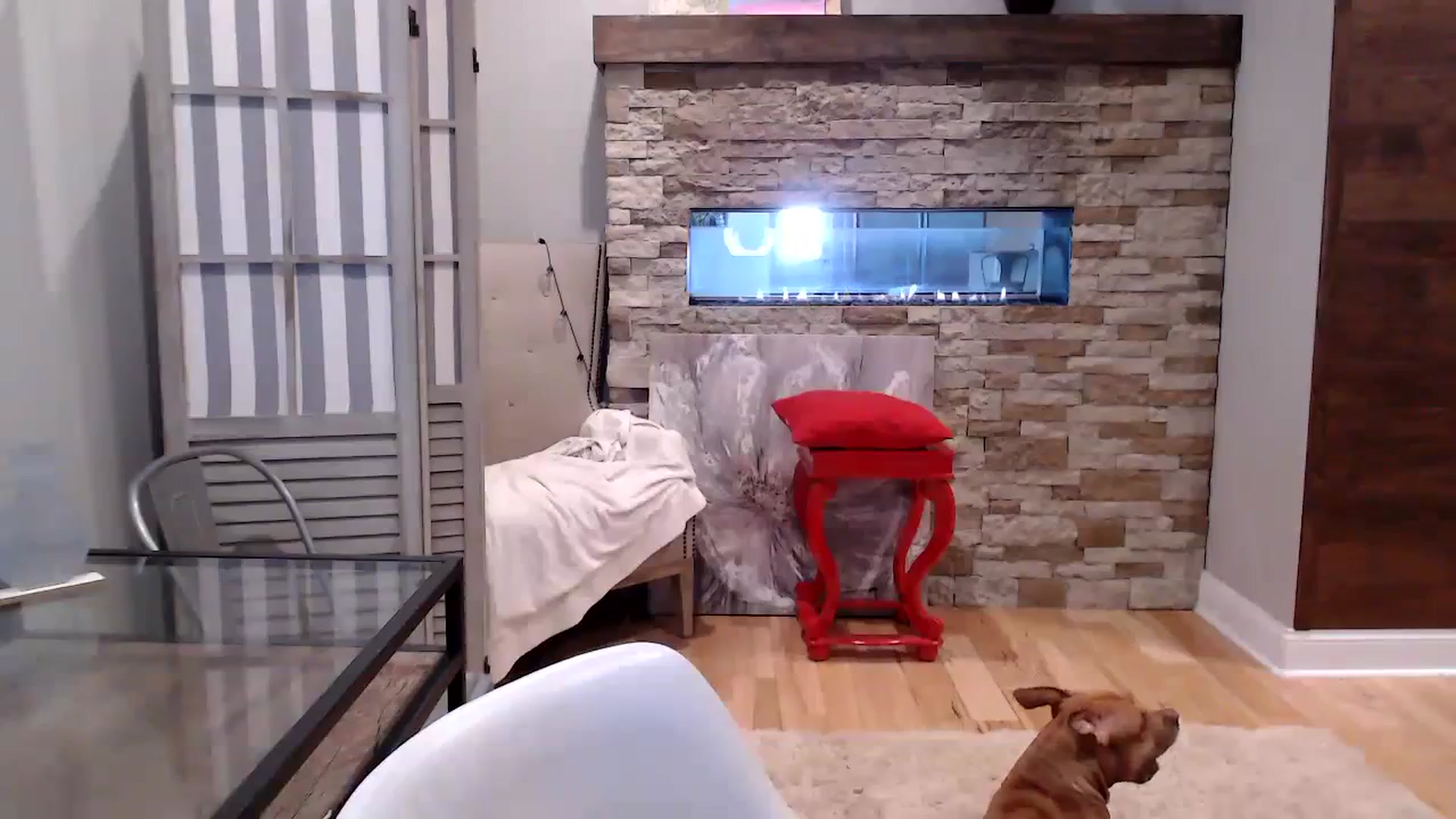 Gallery image thumbnail from AmyDay's myfreecams stream on, 10/03/2023, 15:51 image 5 of 20