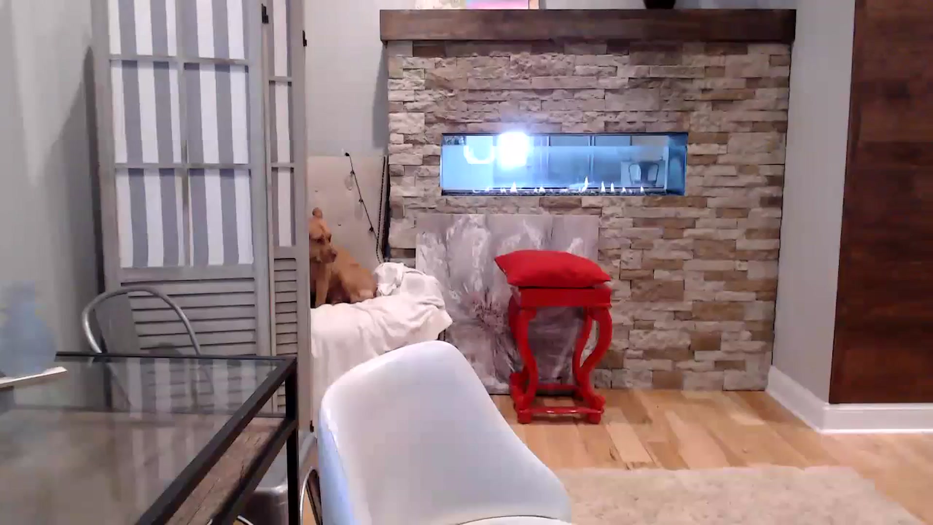 Gallery image thumbnail from AmyDay's myfreecams stream on, 10/03/2023, 15:51 image 11 of 20