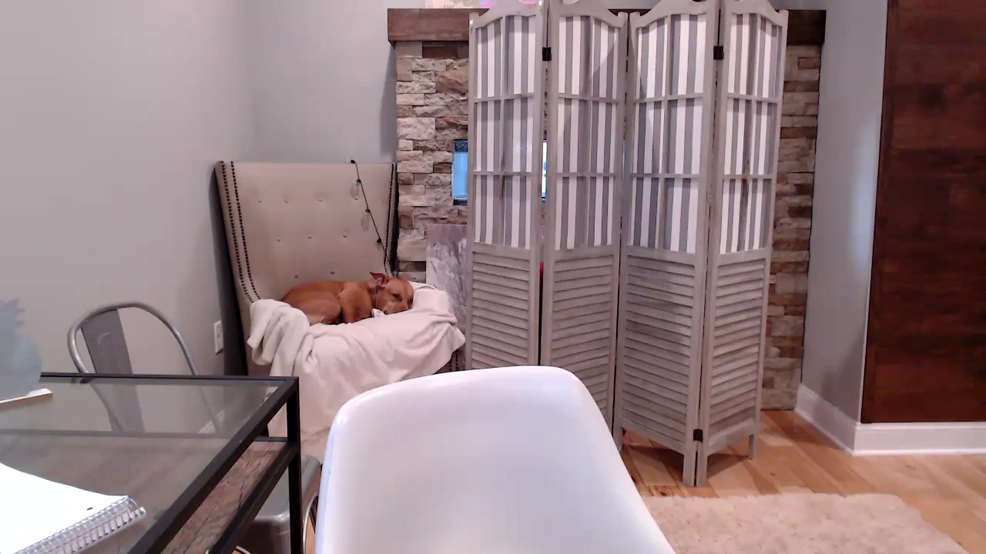 Gallery image thumbnail from AmyDay's myfreecams stream on, 10/03/2023, 17:55 image 14 of 20