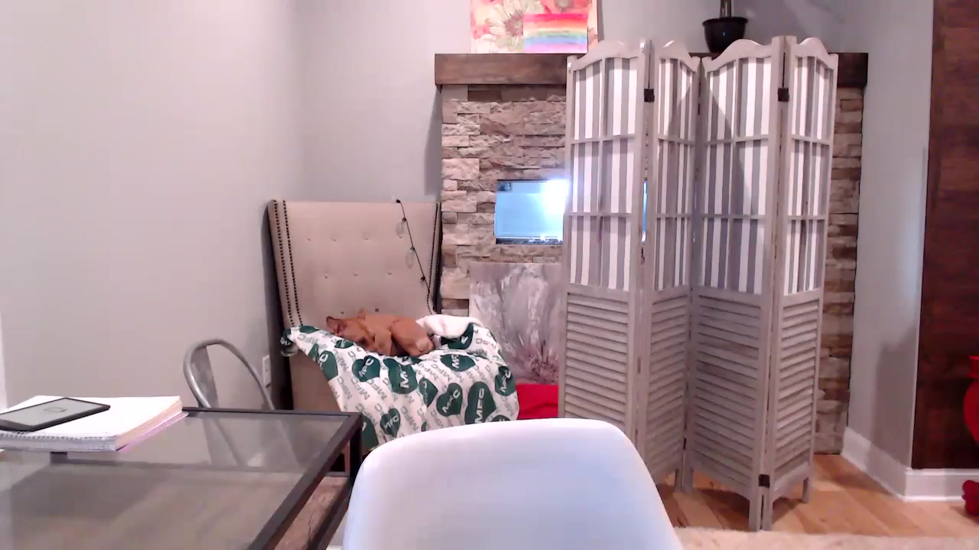 Gallery image thumbnail from AmyDay's myfreecams stream on, 10/11/2023, 17:02 image 3 of 20