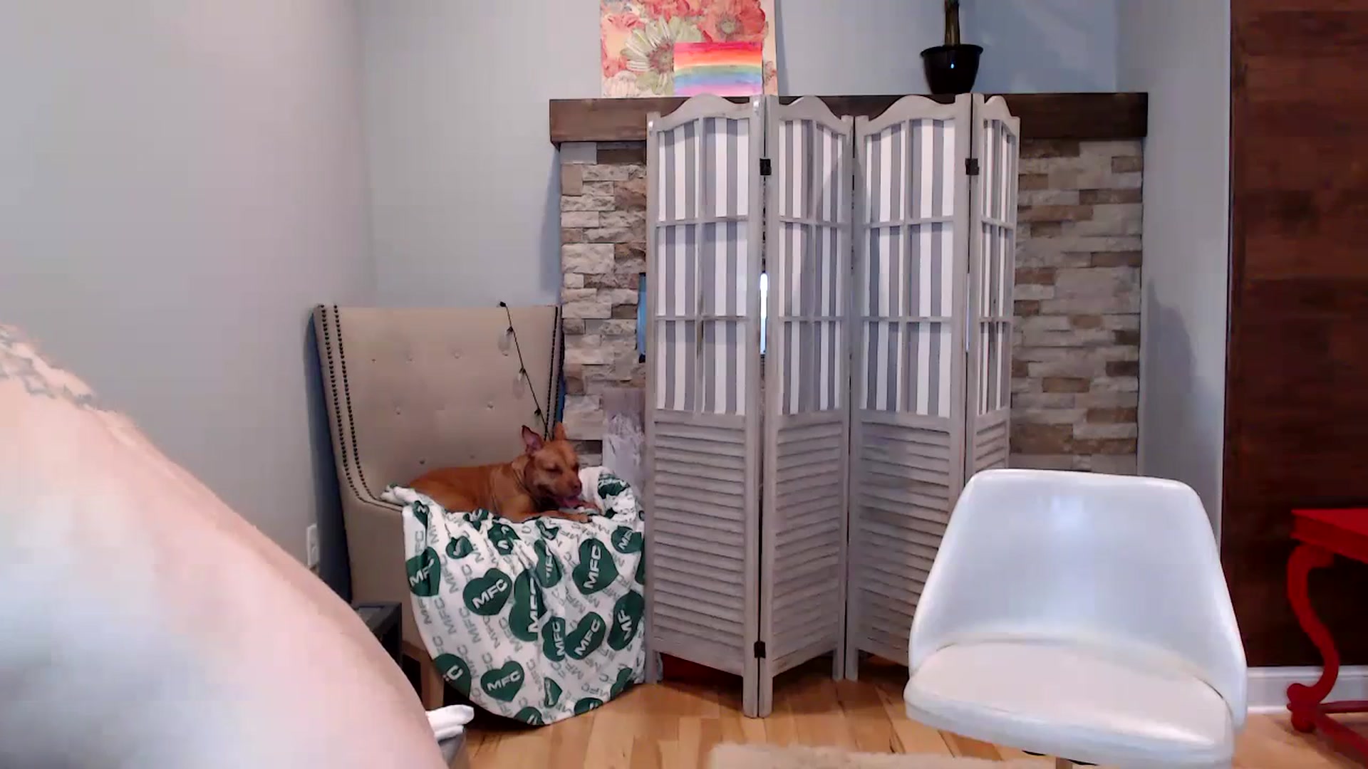 Gallery image thumbnail from AmyDay's myfreecams stream on, 10/12/2023, 17:52 image 20 of 20