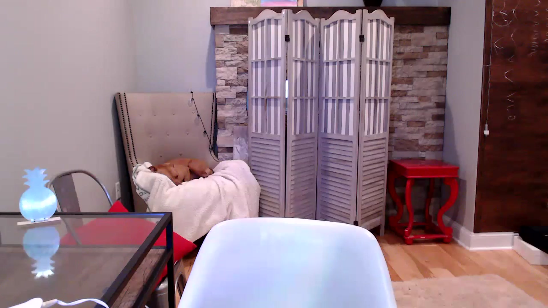 Gallery image thumbnail from AmyDay's myfreecams stream on, 11/01/2023, 16:36 image 6 of 20