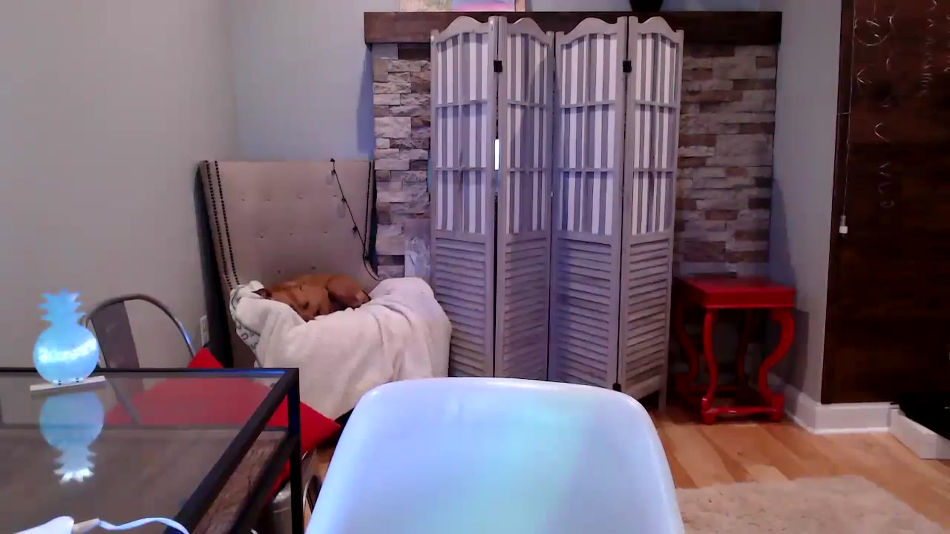 Gallery image thumbnail from AmyDay's myfreecams stream on, 11/01/2023, 16:36 image 5 of 20