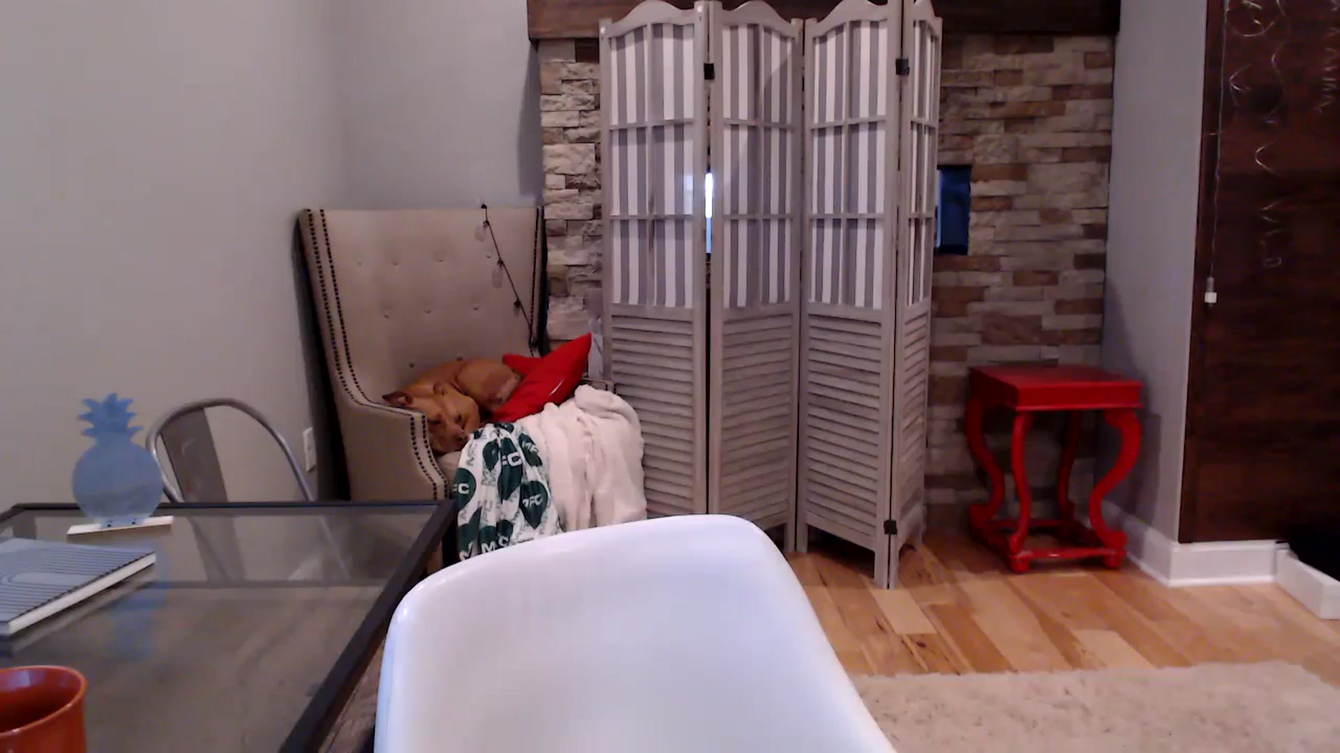 Gallery image thumbnail from AmyDay's myfreecams stream on, 11/02/2023, 18:46 image 13 of 20