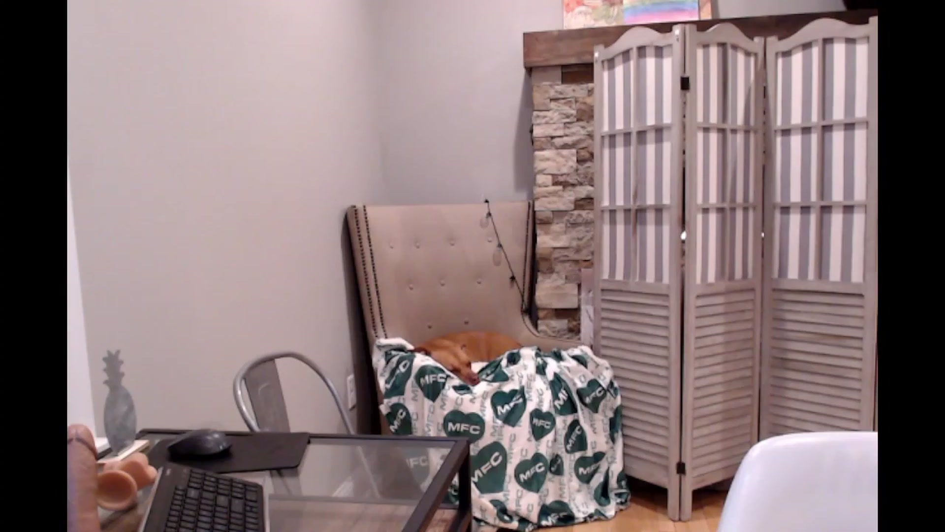 Gallery image thumbnail from AmyDay's myfreecams stream on, 11/21/2023, 07:10 image 15 of 20