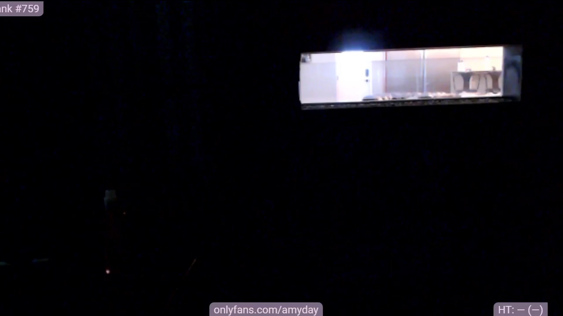 Gallery image thumbnail from AmyDay's myfreecams stream on, 12/01/2023, 18:57 image 12 of 20