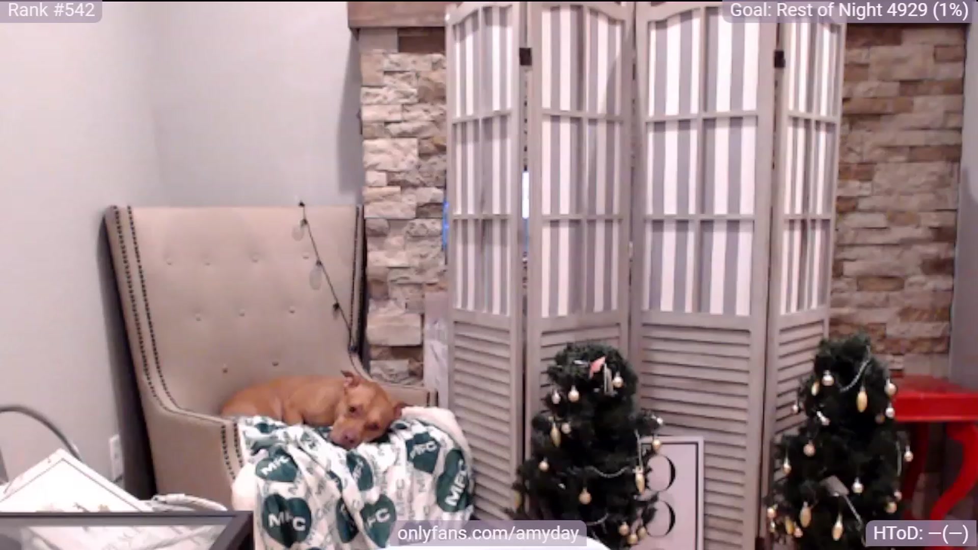 Gallery image thumbnail from AmyDay's myfreecams stream on, 12/11/2023, 19:57 image 15 of 20