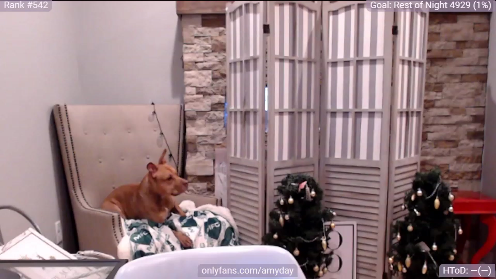 Gallery image thumbnail from AmyDay's myfreecams stream on, 12/11/2023, 19:57 image 3 of 20