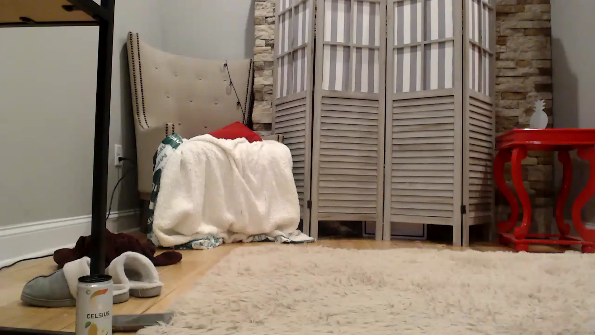 Gallery image thumbnail from AmyDay's myfreecams stream on, 01/31/2024, 06:46 image 13 of 20