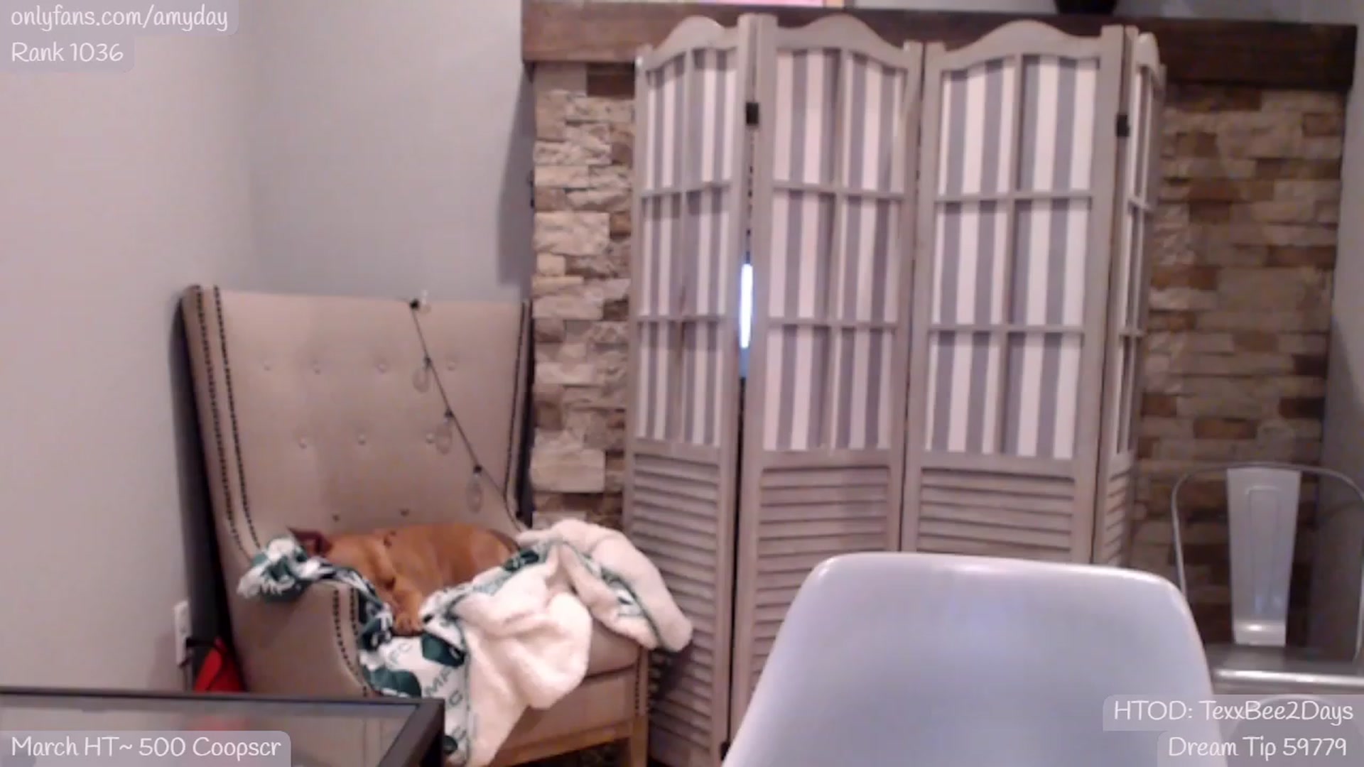 Gallery image thumbnail from AmyDay's myfreecams stream on, 03/05/2024, 18:30 image 7 of 20