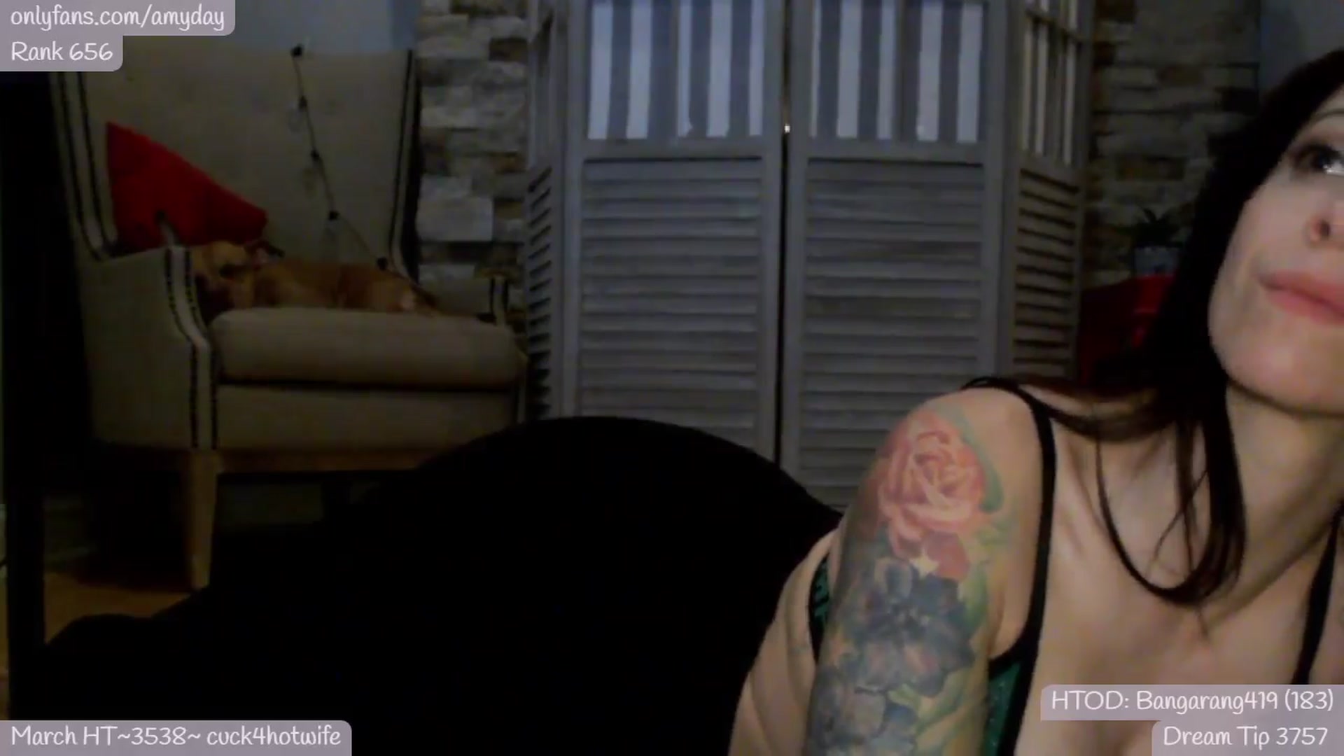 Gallery image thumbnail from AmyDay's myfreecams stream on, 03/29/2024, 07:26 image 20 of 20