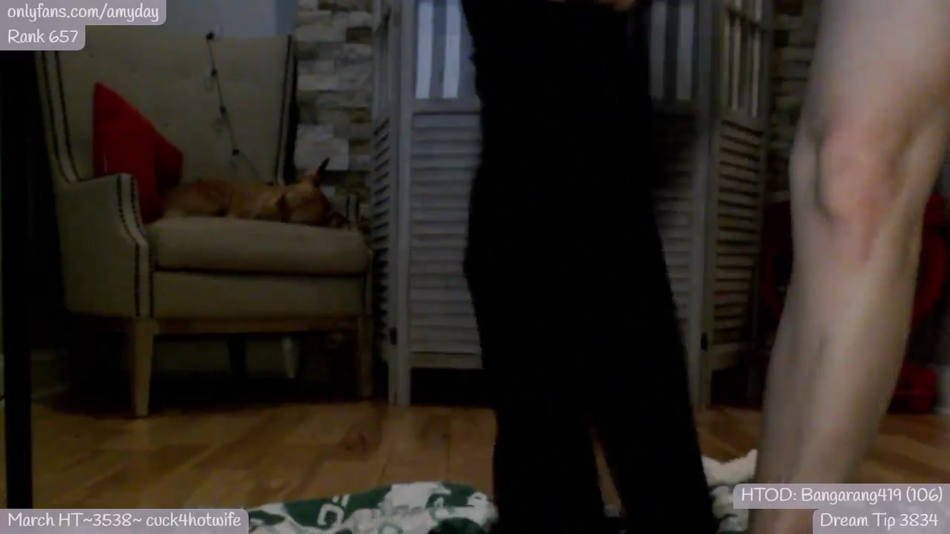 Gallery image thumbnail from AmyDay's myfreecams stream on, 03/29/2024, 07:26 image 18 of 20