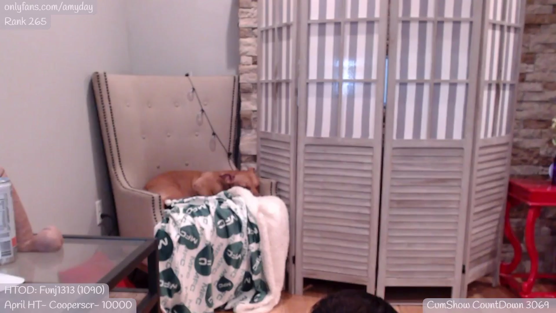 Gallery image thumbnail from AmyDay's myfreecams stream on, 04/11/2024, 18:38 image 14 of 20