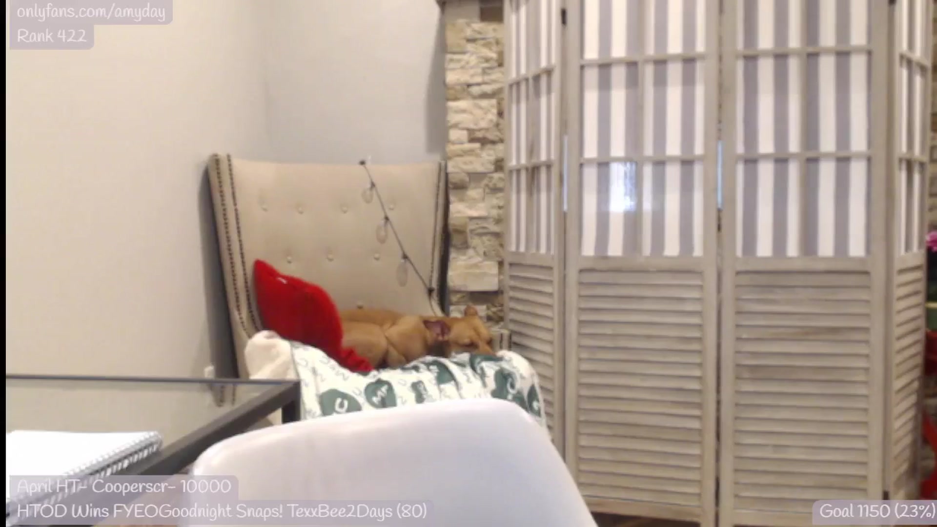 Gallery image thumbnail from AmyDay's myfreecams stream on, 04/25/2024, 17:21 image 20 of 20