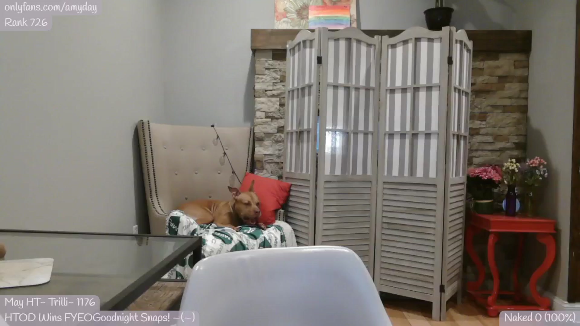 Gallery image thumbnail from AmyDay's myfreecams stream on, 05/08/2024, 14:40 image 11 of 20