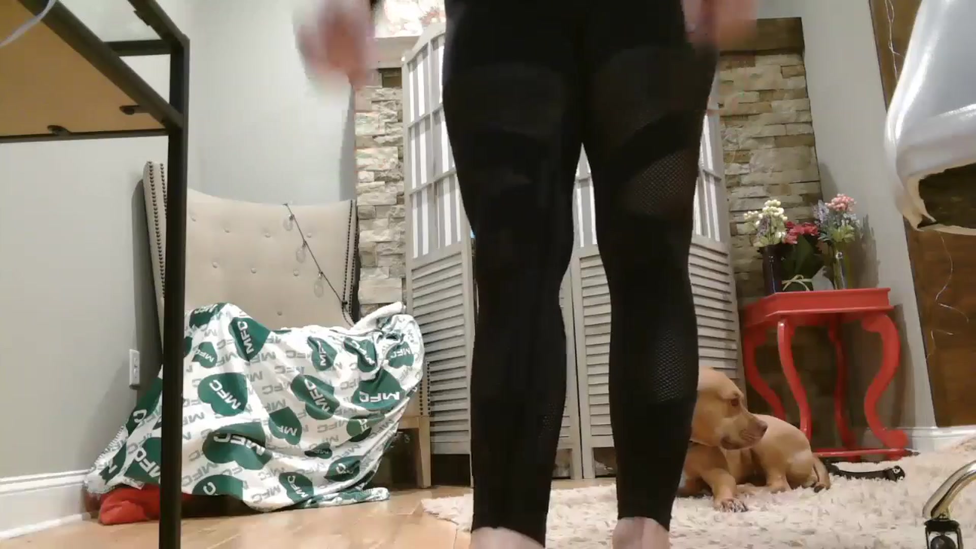 Gallery image thumbnail from AmyDay's myfreecams stream on, 05/28/2024, 17:00 image 14 of 20