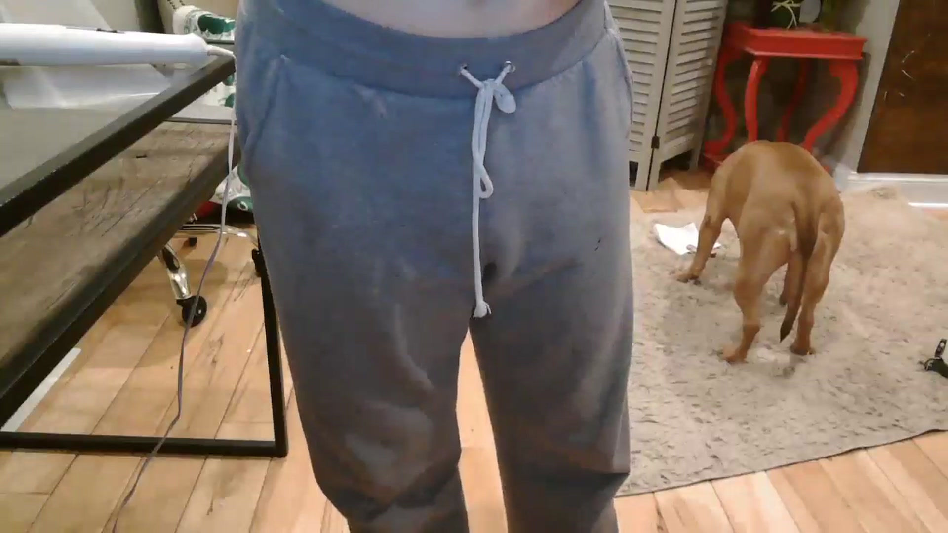 Gallery image thumbnail from AmyDay's myfreecams stream on, 05/28/2024, 17:59 image 20 of 20
